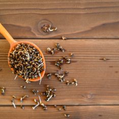 sprouted food hemp seeds in a wooden spoon on a wooden background
